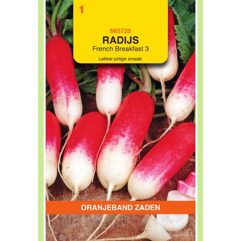 Oranjeband® Radish French Breakfast 3