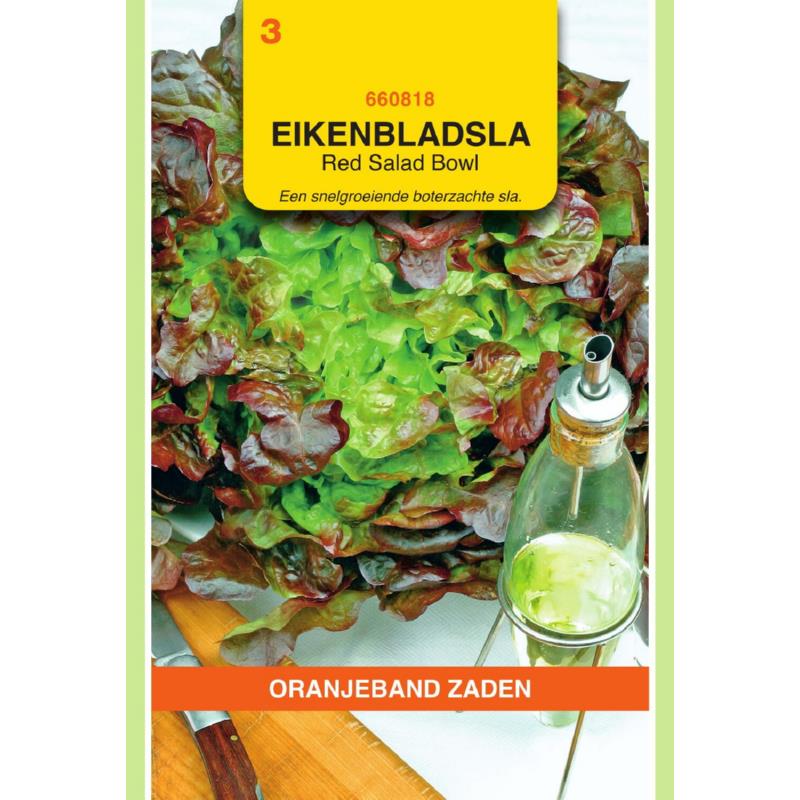 Oranjeband® Lettuce (Leaf) Red Salad Bowl