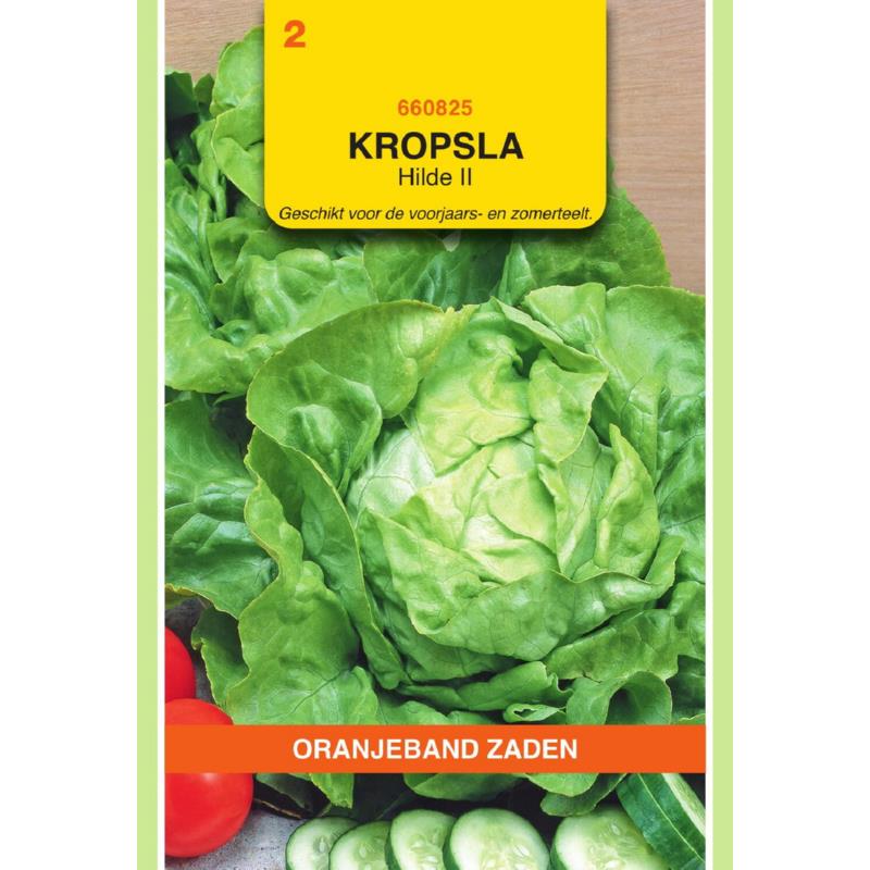 Oranjeband® Lettuce Hilde II  (Market Favourite Impr.)