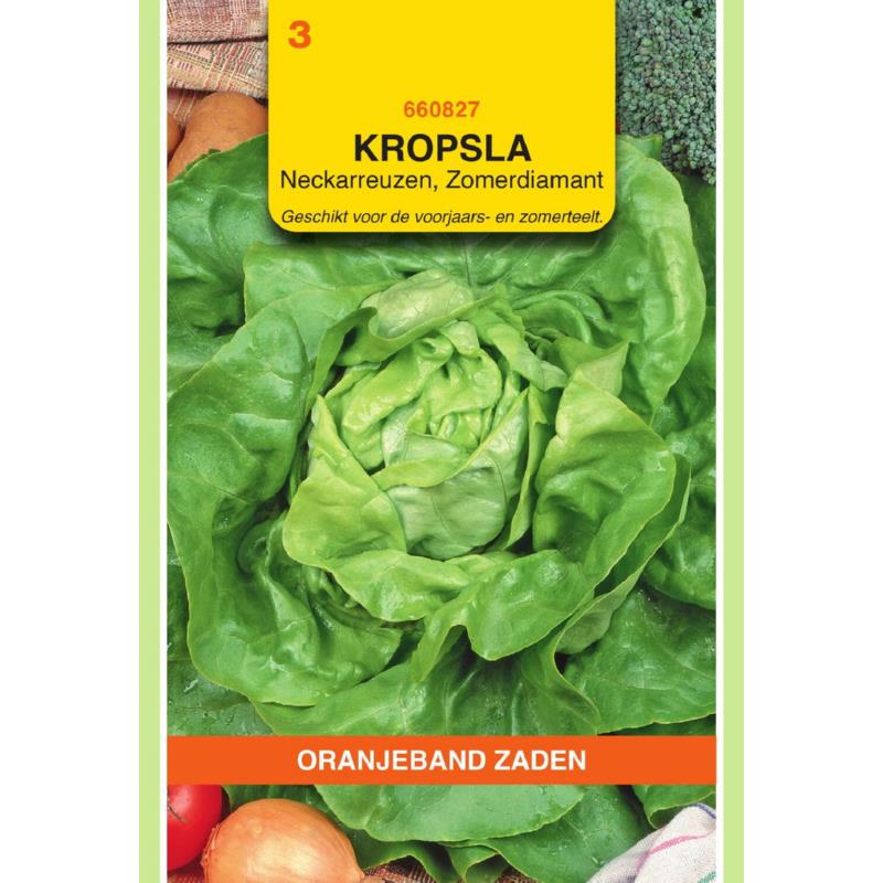 OBZ Kropsla Zomerdiamant