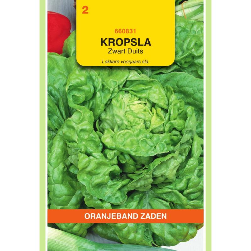 Oranjeband® Lettuce All The Year Round
