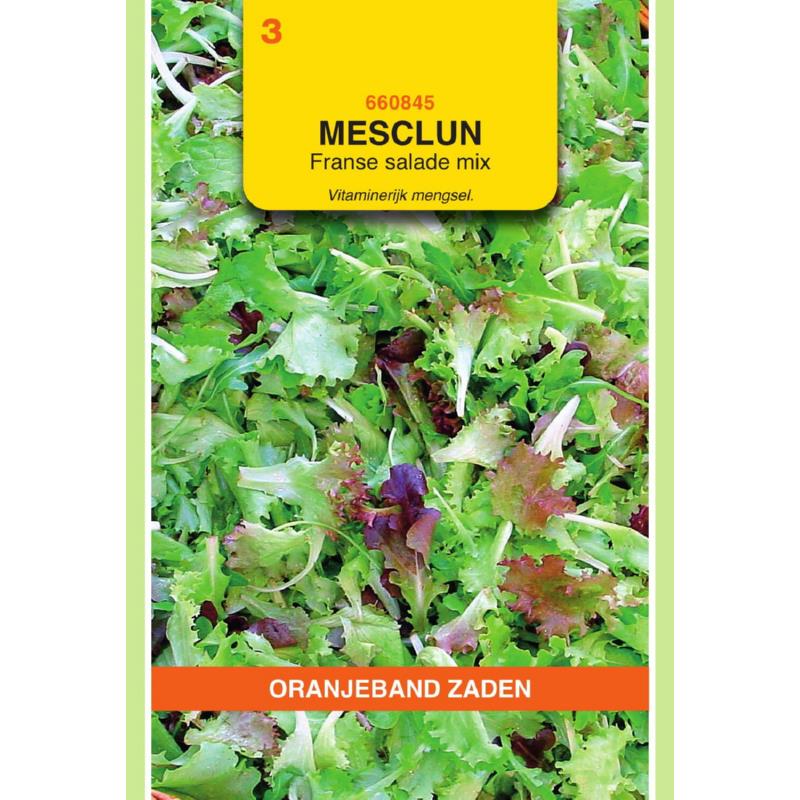 Oranjeband® Mesclun - French mixed Salad