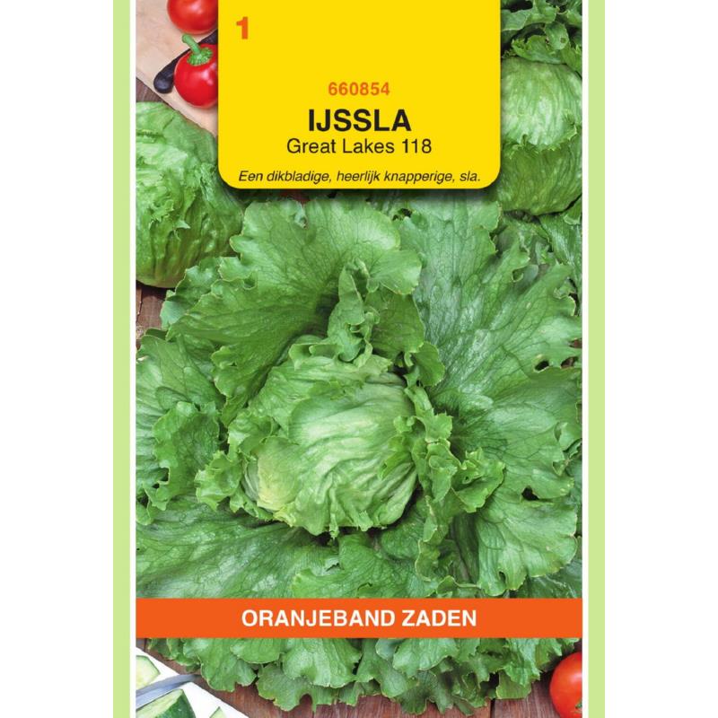 Oranjeband® Lettuce (Crisp) Great Lakes 118