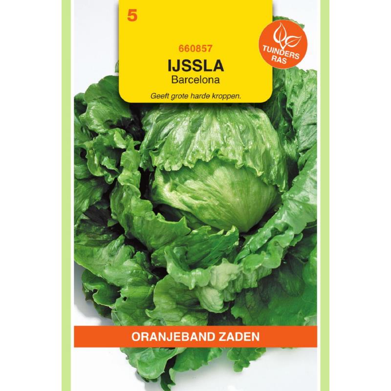 Oranjeband® Lettuce Barcelona