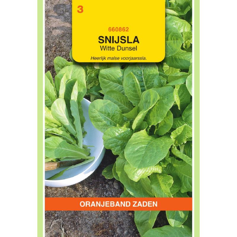 Oranjeband® Lettuce (Leaf) Paris Blond