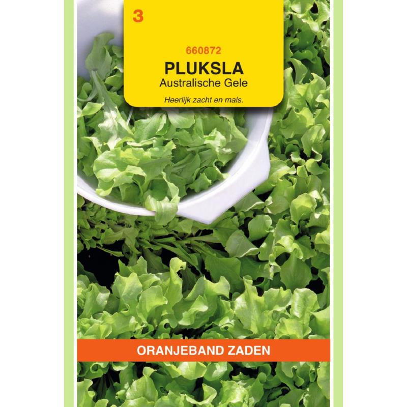 OBZ Pluksla Australische Gele