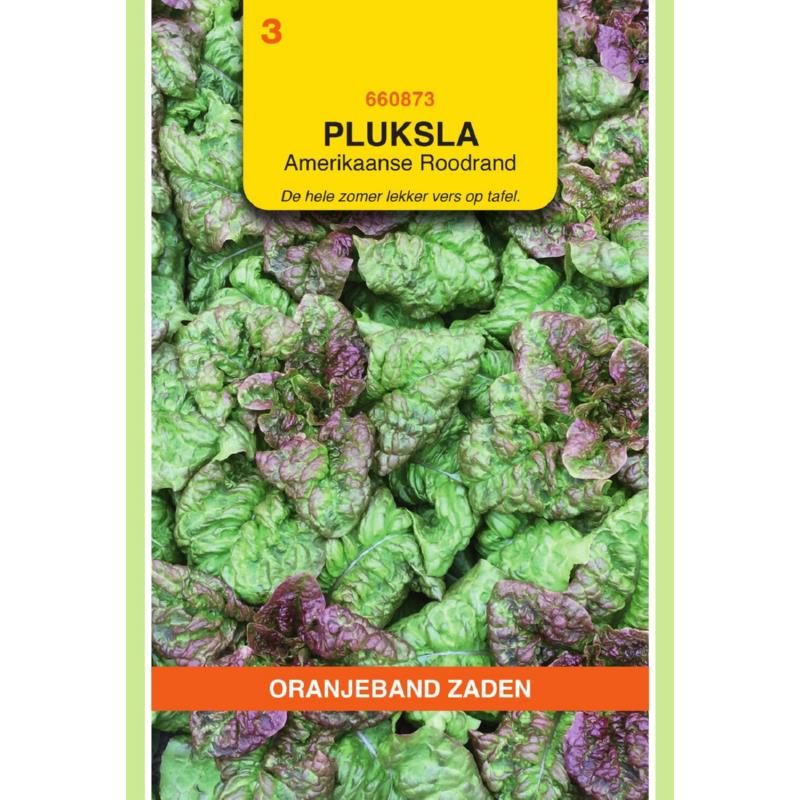 OBZ Pluksla Amerikaanse Roodrand