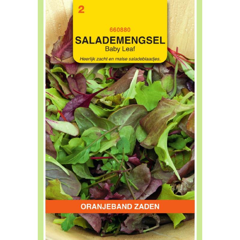 OBZ Salade Mengsel Baby-Leaf