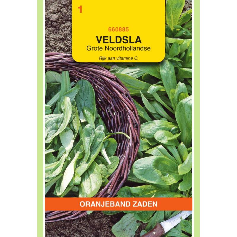 Oranjeband® Corn Salad Noordhollandse