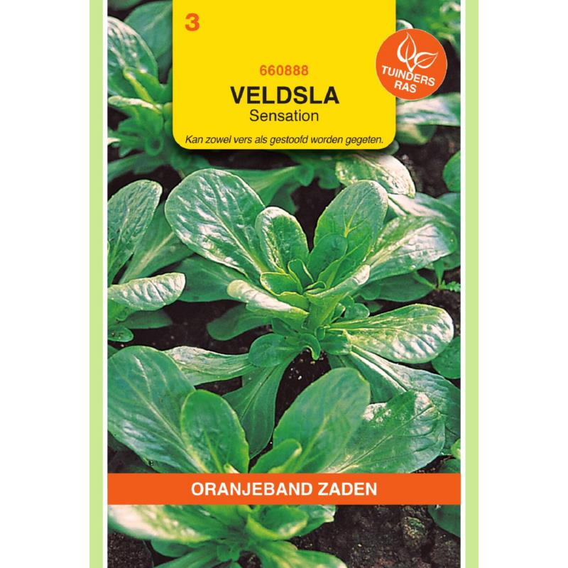 OBZ Veldsla Elan (wordt Sensation)