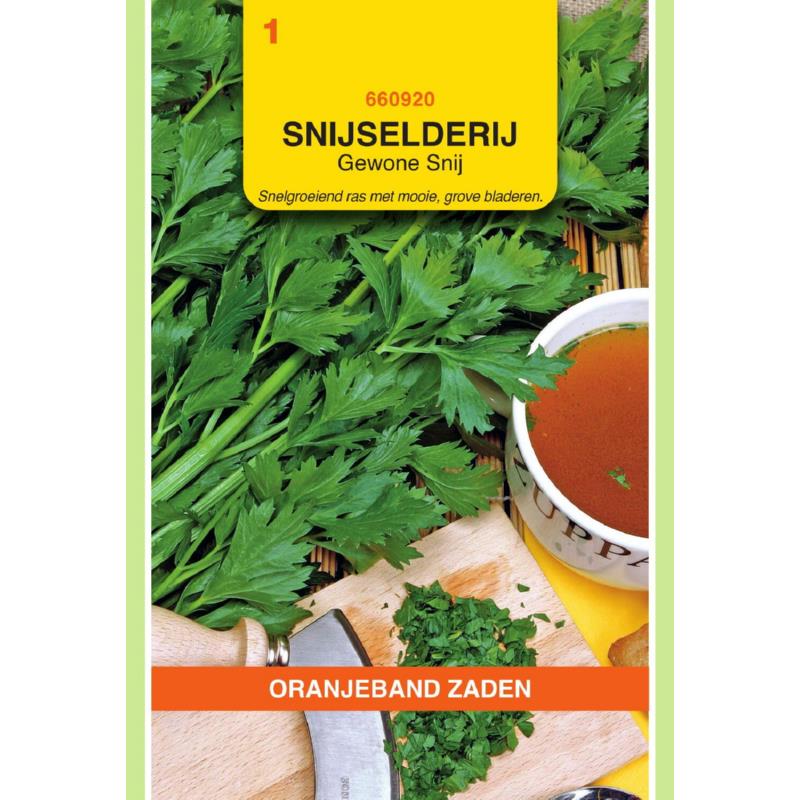 Oranjeband® Apium Graveolens (Celery)