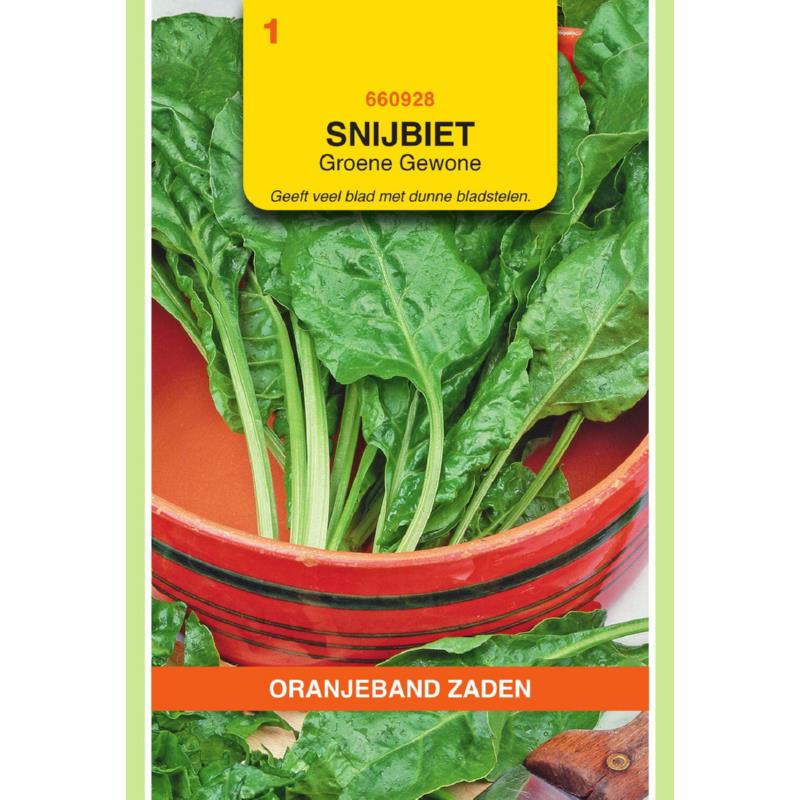 OBZ Snijbiet Groene Gewone