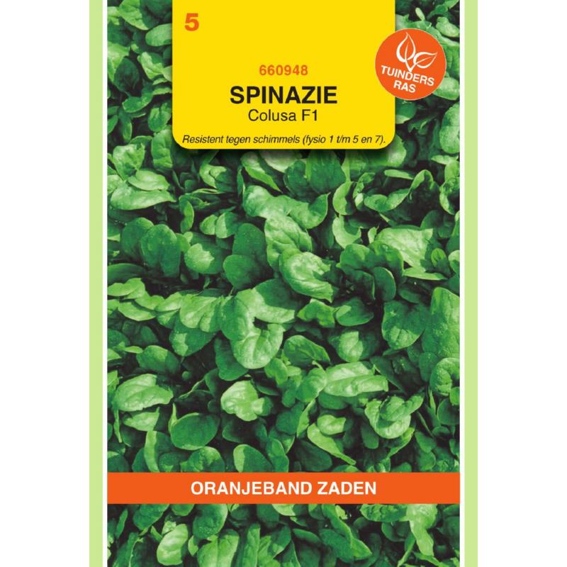 Oranjeband® Spinach Colusa Hybrid F1, 15g