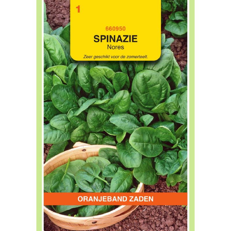 OBZ Spinazie Nores, 15g