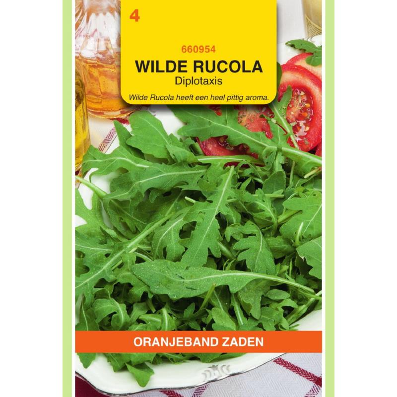 OBZ Wilde Rucola - Diplotaxis