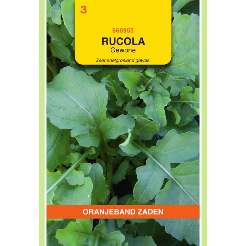 Oranjeband® Rocket (Eruca Sativa)