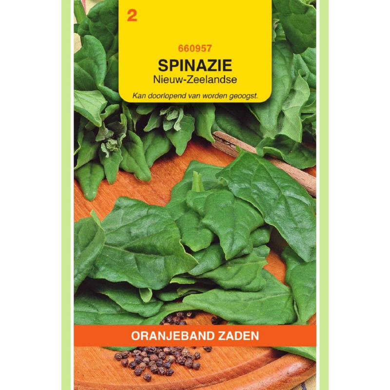 OBZ Spinazie Nieuw-Zeelandse