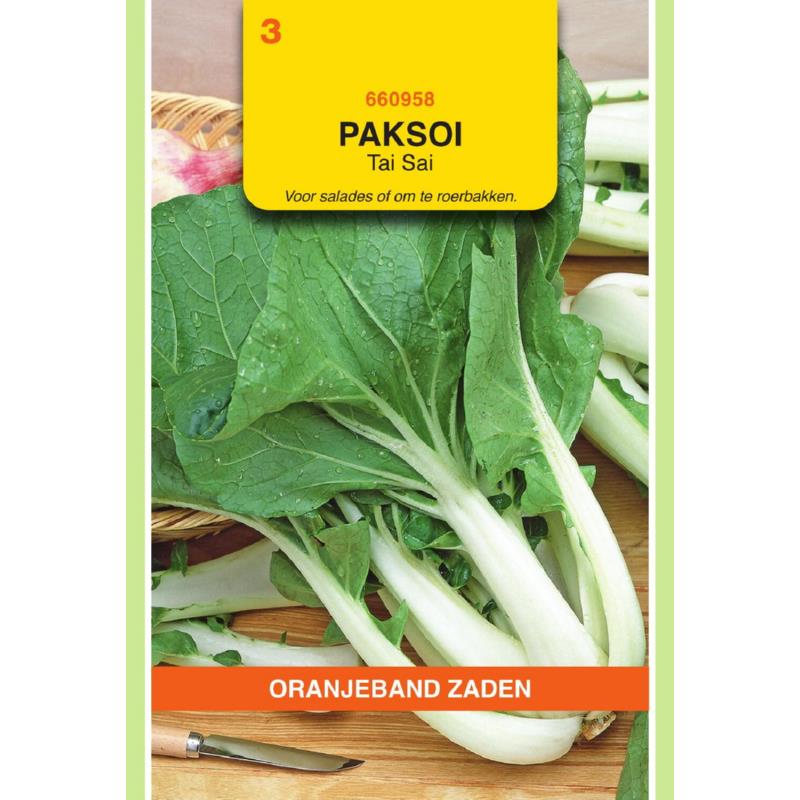 Oranjeband® Taisai Or Japanese Pak Choy