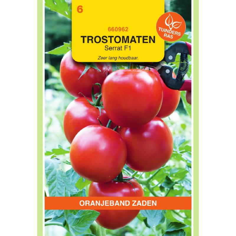 Oranjeband® Tomato Serrat F1