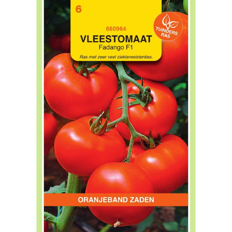 Oranjeband® Tomato Fandango F1