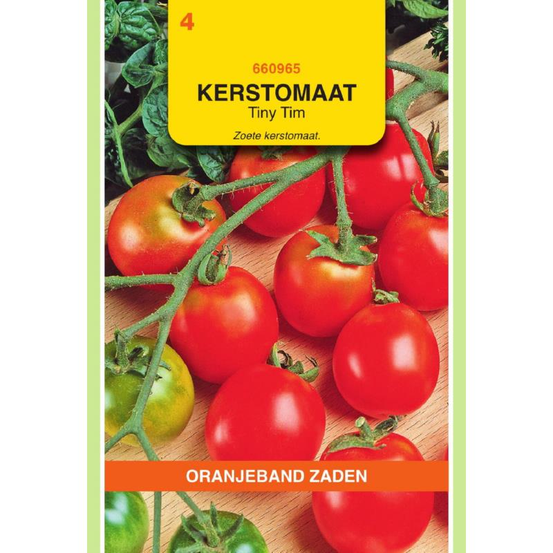OBZ Tomaten Tiny Tim Kers- Balkontomaten