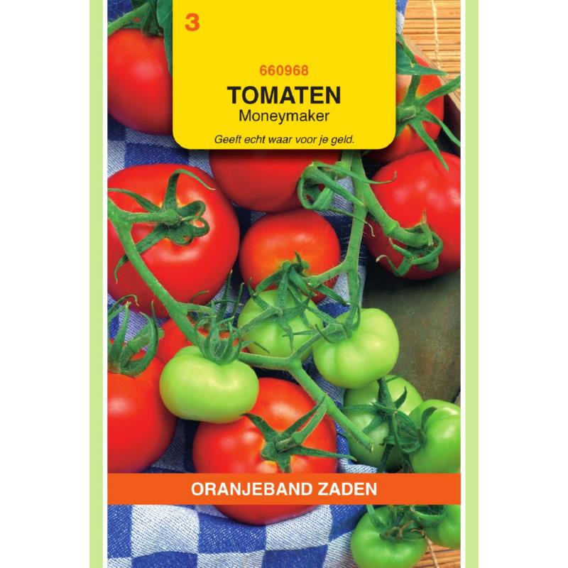 Oranjeband® Tomato Moneymaker