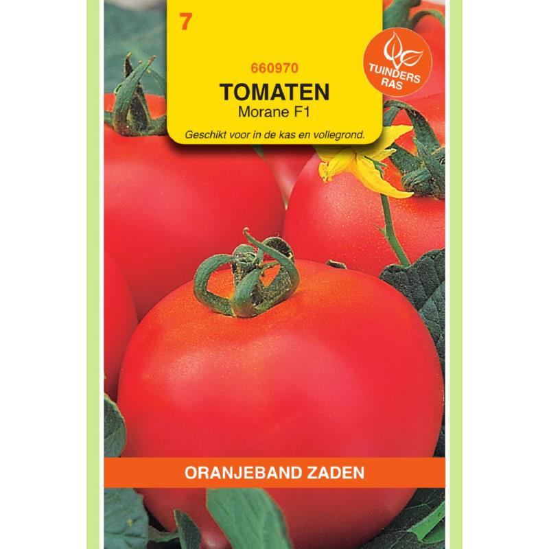 OBZ Tomaten Morane F1