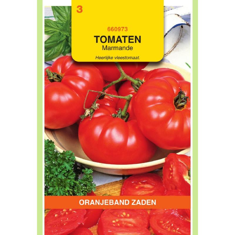 OBZ Tomaten Marmande
