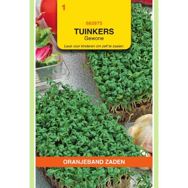 Oranjeband® Garden cress