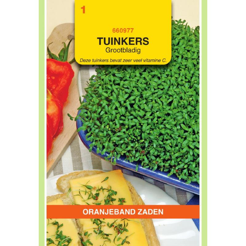 Oranjeband® Cress Broad-Leaved