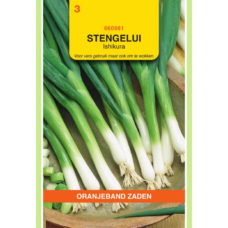 OBZ Stengelui Ishikura