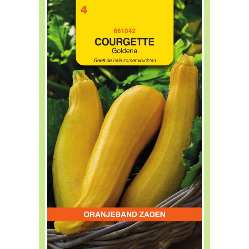 Oranjeband® Zucchini Goldena