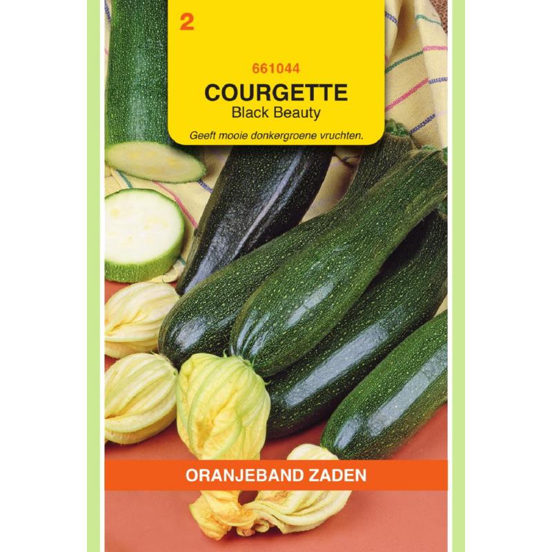 Oranjeband® Summersquash Bl. Beauty Long Green