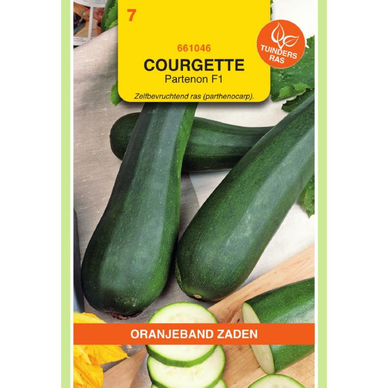 OBZ Courgette Dunja (voorheen Partenon) F1