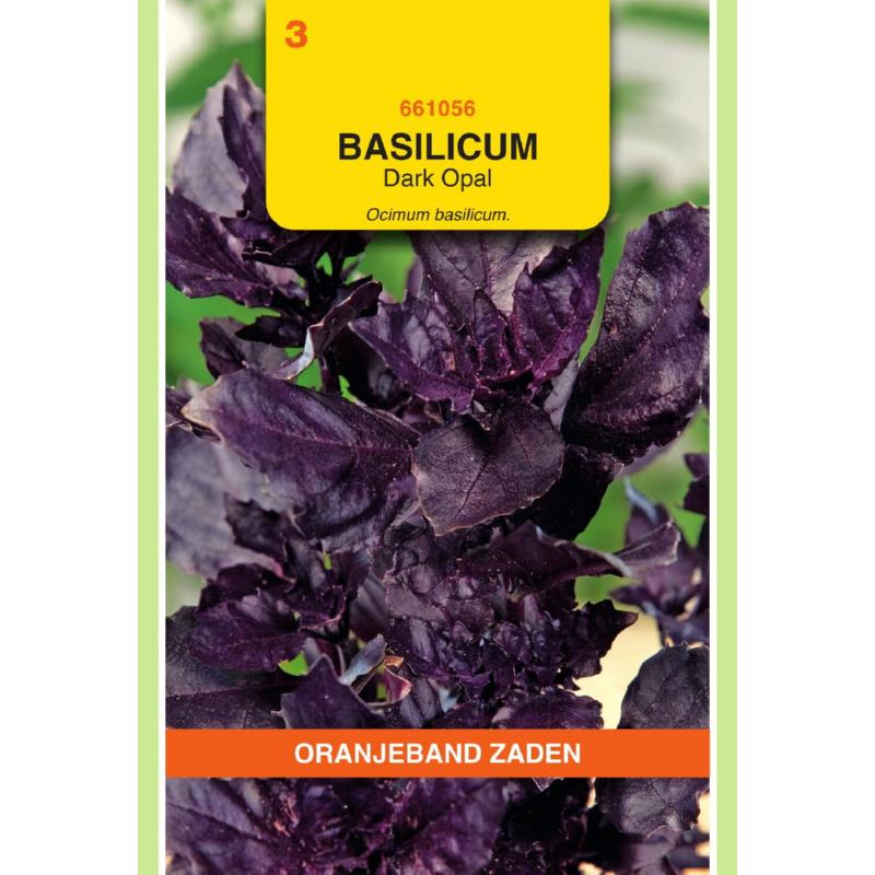OBZ Basilicum Dark Opal