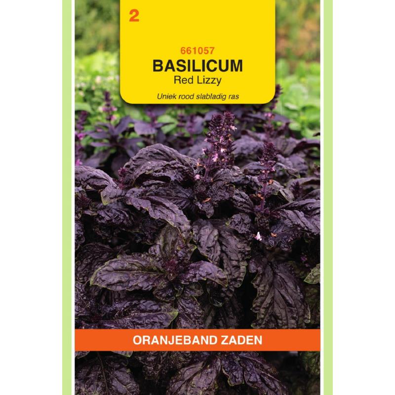 OBZ Basil Red Lizzy - Red Lettuce Leaved