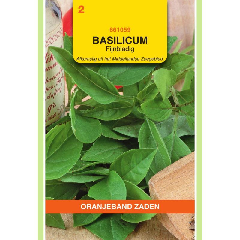 Oranjeband® Ocimum Basilicum Minumum (Basil, Bush)