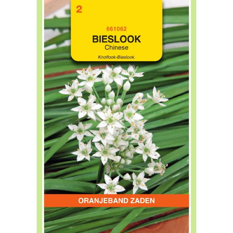 Oranjeband® Chinese Chives