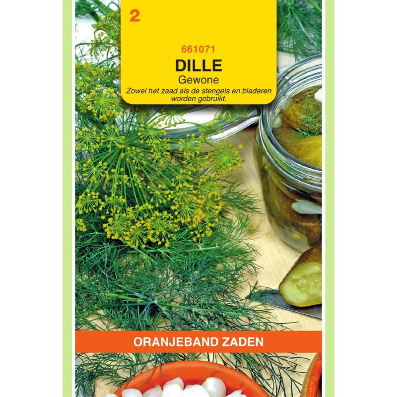 Oranjeband® Dill Anethum Graveolens