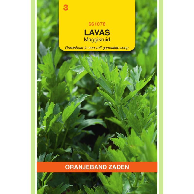 Oranjeband® Levisticum Officinale (Lovage)