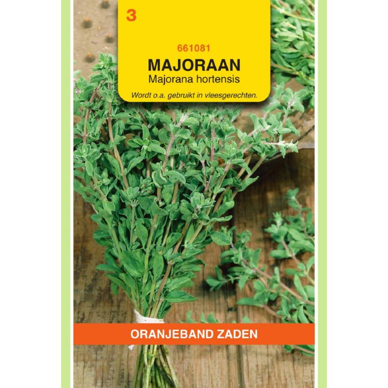 Oranjeband® Sweet Marjoram (Majorana Hortensis)
