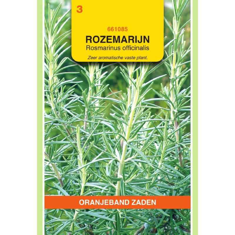 Oranjeband® Rosmarinus Officinalis (Rosemary)