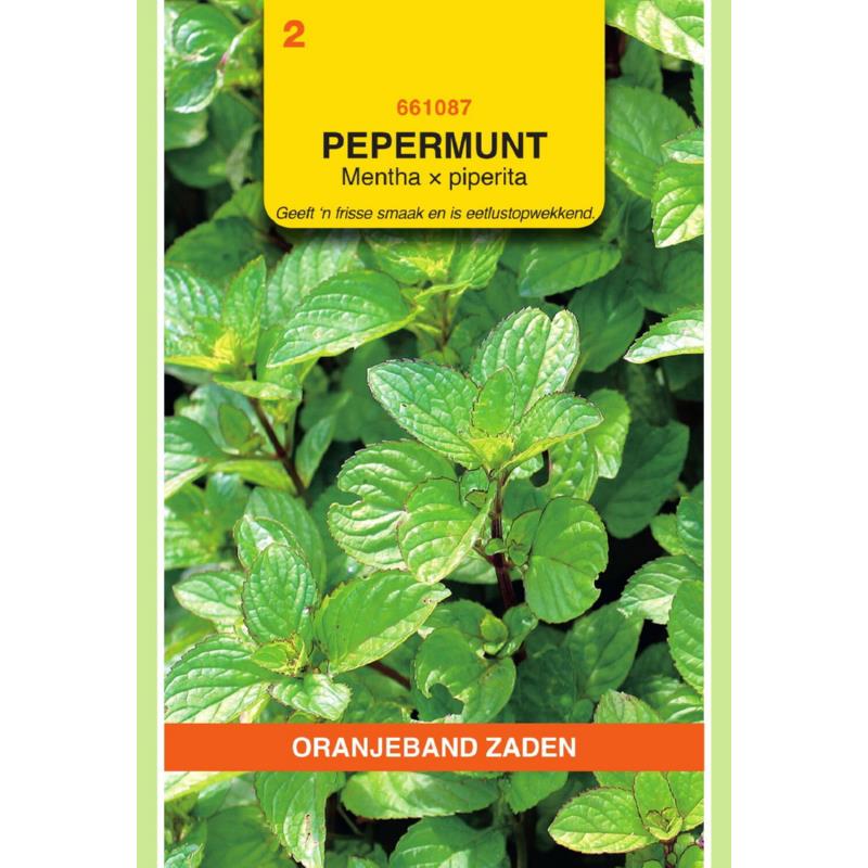 Oranjeband® Mentha Piperita