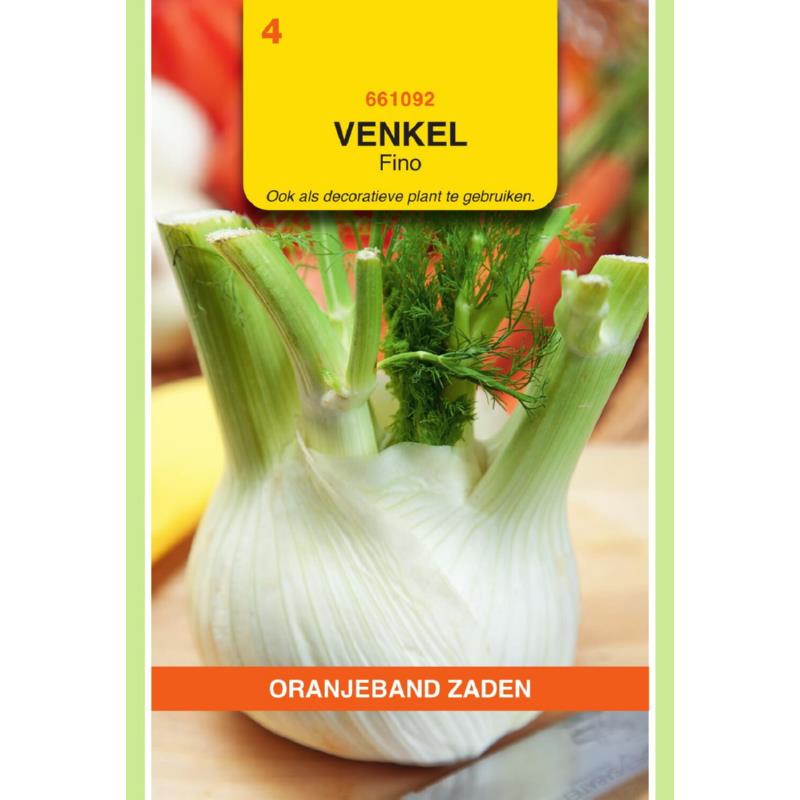 Oranjeband® Fennel Fino