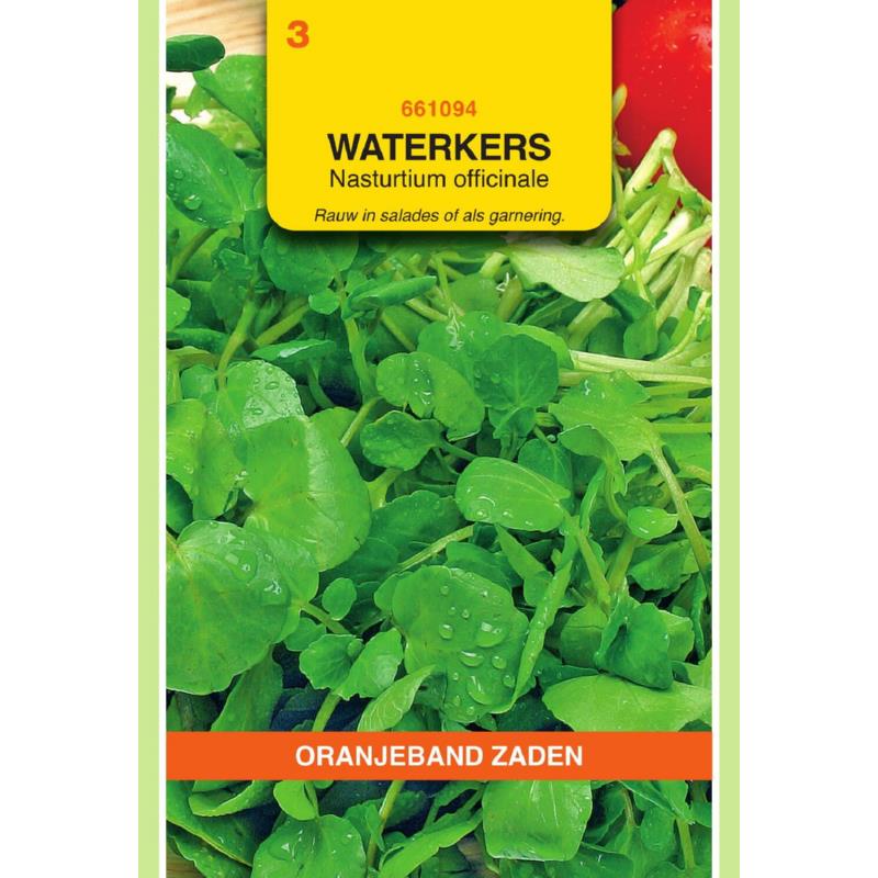 Oranjeband® Nasturtium Officinale / Watercress