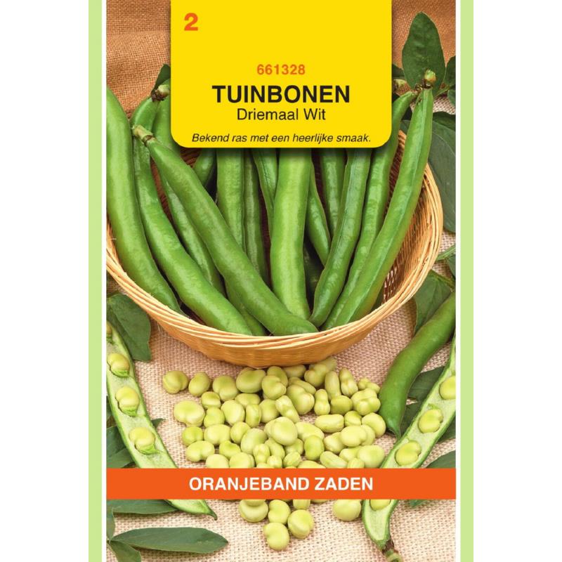 Oranjeband® Broad Beans Threefold White, 15g