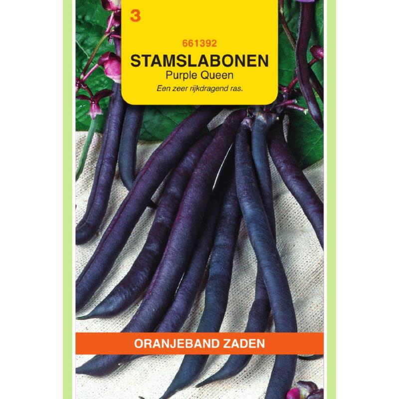 OBZ Stamslabonen Purple Queen, 25g
