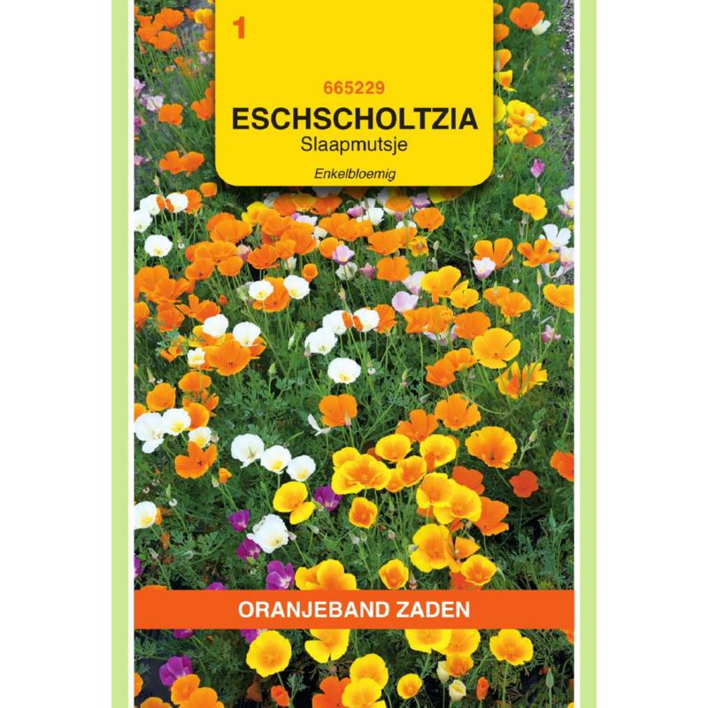 Oranjeband® Eschscholtzia calif. Single Mixed