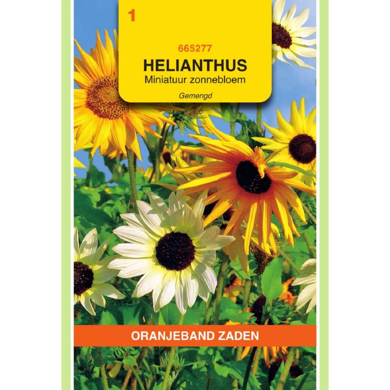 OBZ Helianthus, miniatuur Zonnebloem gemengd