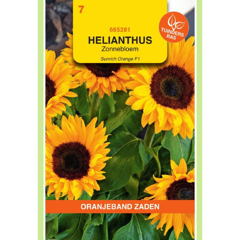 OBZ Helianthus, Zonnebloem Sunrich Orange F1